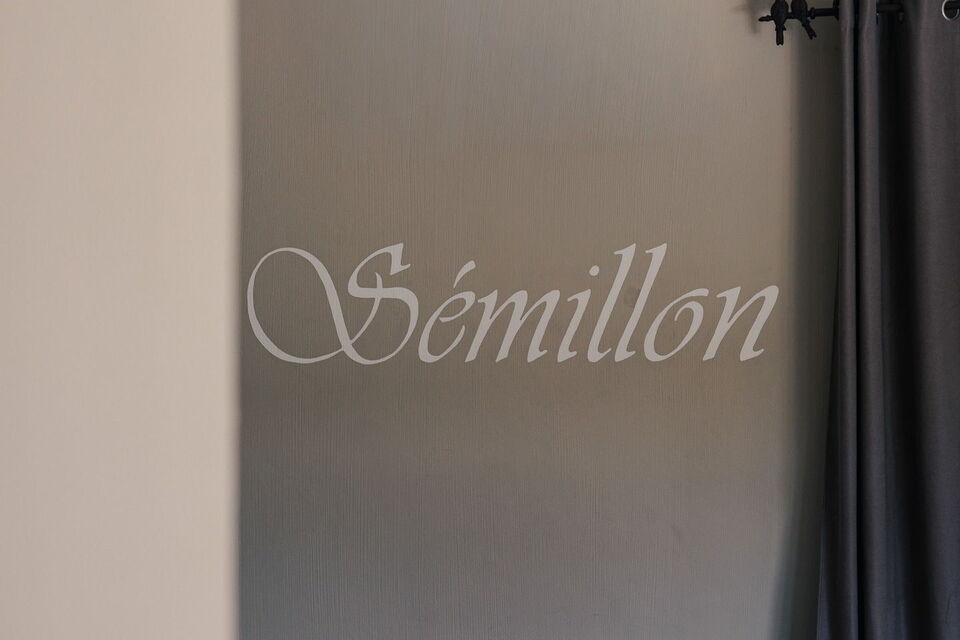 Villa Sémillon – Domaine Le Puits de Ronze